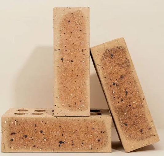 FACEBRICKS