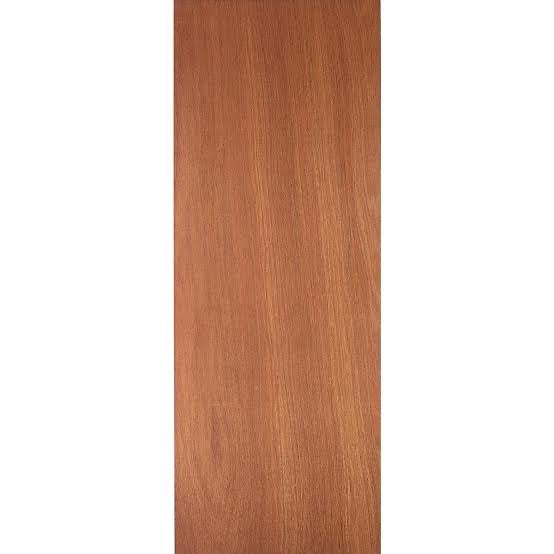 MASONITE DOOR